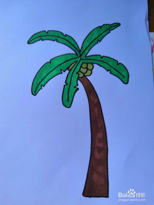 如何画椰子树简笔画