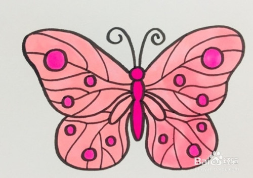 简笔画系列-蝴蝶的花纹怎么画