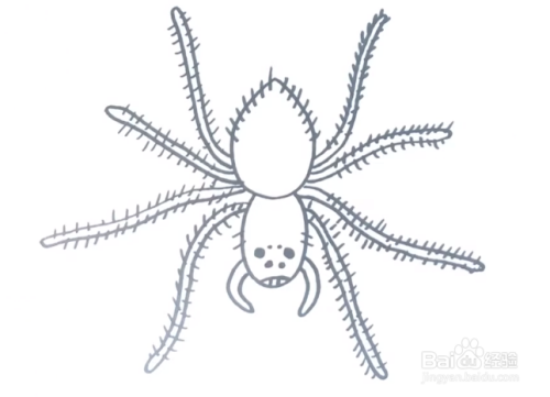 少儿简笔画——如何用彩笔一笔一笔画蜘蛛?