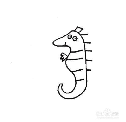 海马的简笔画