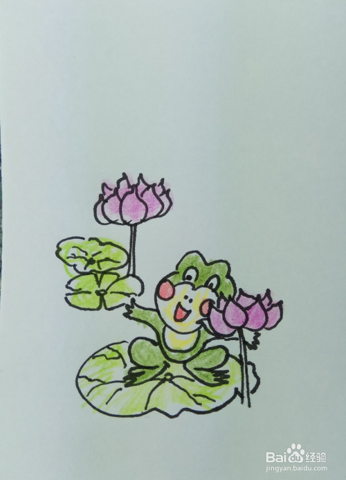 3 再用曲线和弧线画出池塘里的荷花叶子,画出小青蛙身后的另外一朵