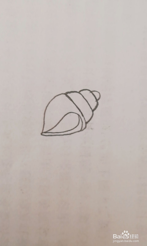 简笔画海螺怎么画