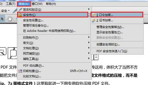 pdf文件怎样加密