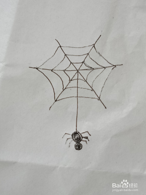 蜘蛛的简笔画