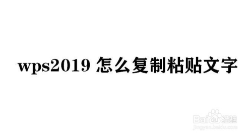 wps2019怎么复制粘贴文字