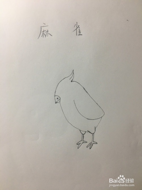 麻雀简笔画怎么画?