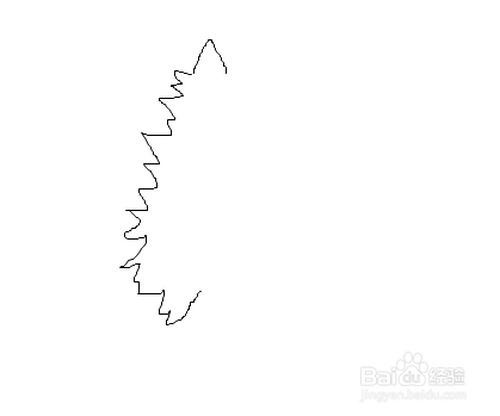 如何画水杉树的简笔画