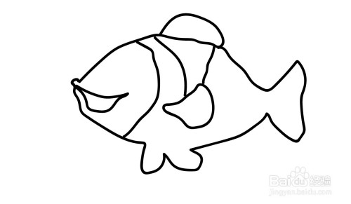 画出鱼的身体与尾巴.