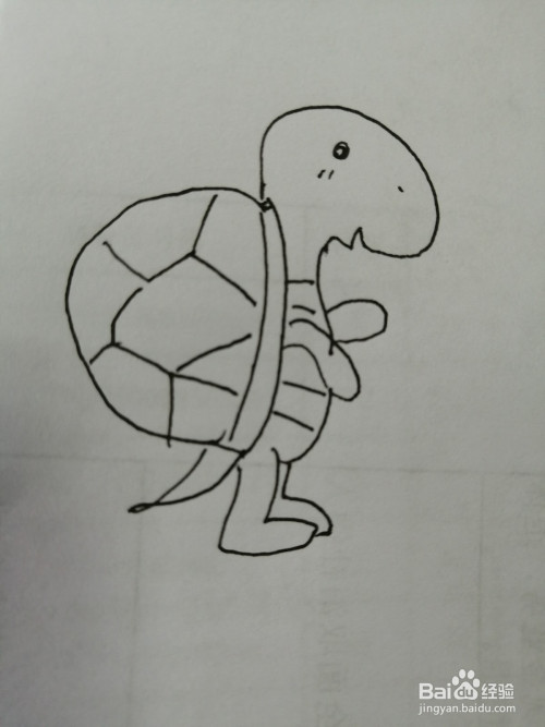 小乌龟很可爱,今天,小编就和大家分享可爱的小乌龟的画法.
