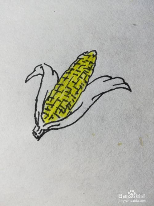 怎么画老玉米的简笔画