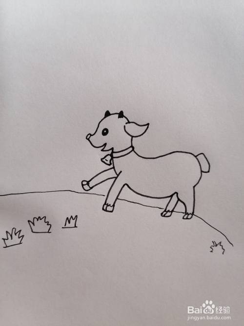小羊简笔画怎么画