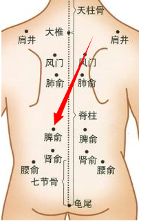 肾俞穴位位置图和作用