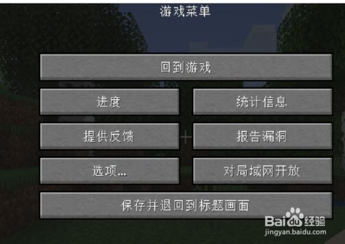 启动并进入世界 单击esc键,进入游戏菜单.