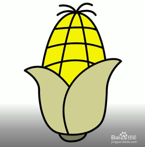 玉米的简笔画怎么画