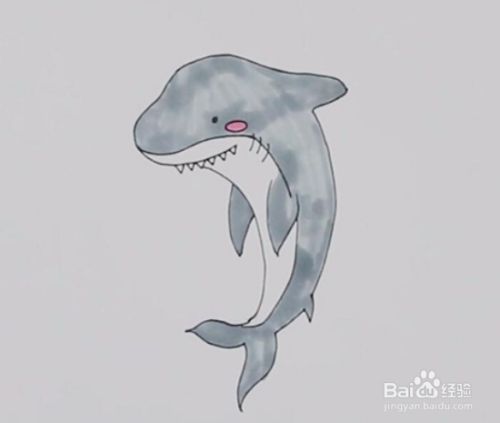 公牛鲨怎么画