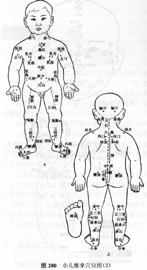 小儿推拿常用腧穴