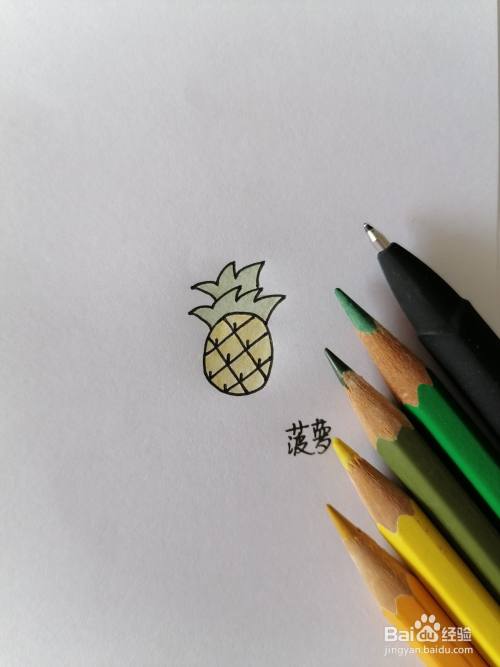 菠萝简笔画怎么画