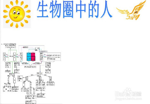 生物圈中的人手抄报