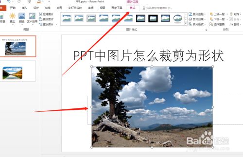 ppt中图片怎么裁剪为形状