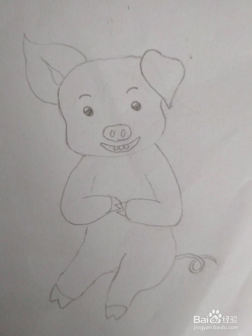 多妈简笔画动物一只小胖猪