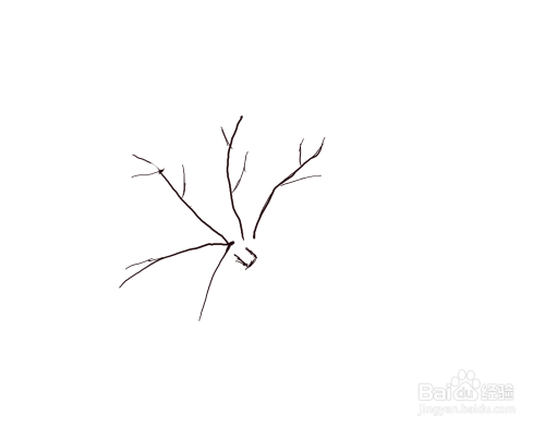 如何画树叶简笔画