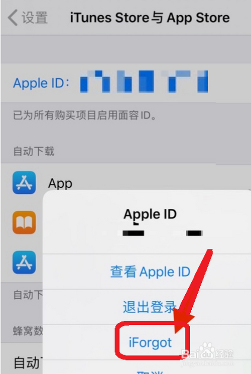 ipad忘记apple id密码怎么办