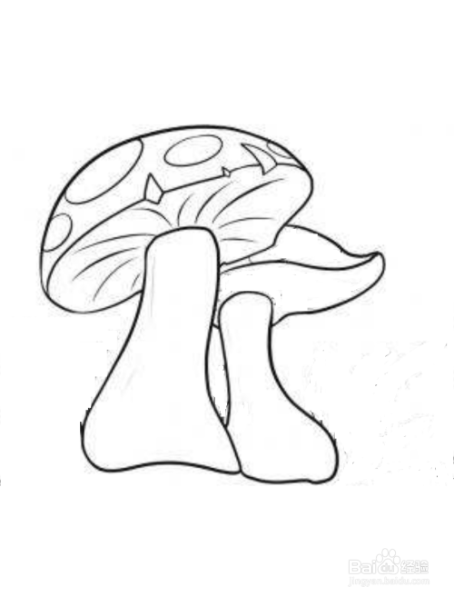 草地蘑菇的简笔画