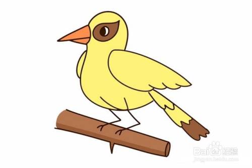黄鹂鸟怎么画
