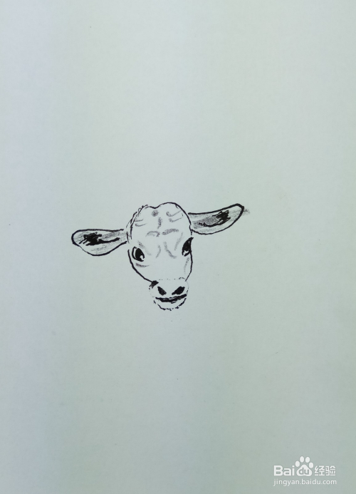 怎样画简笔画"一头老牛"?