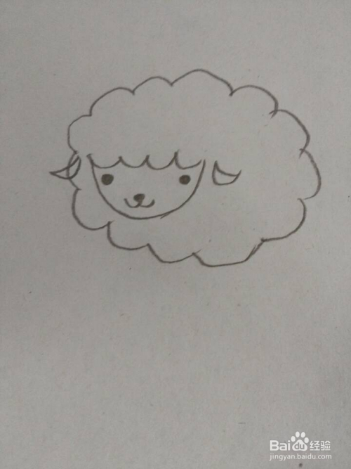 简笔画——卡通小绵羊