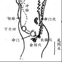 揉丹田 丹田位于肚脐下1.