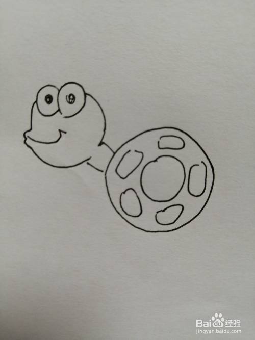 第四步,然后把可爱的小乌龟乌龟壳上的花纹画出来,注意花纹细节的画法