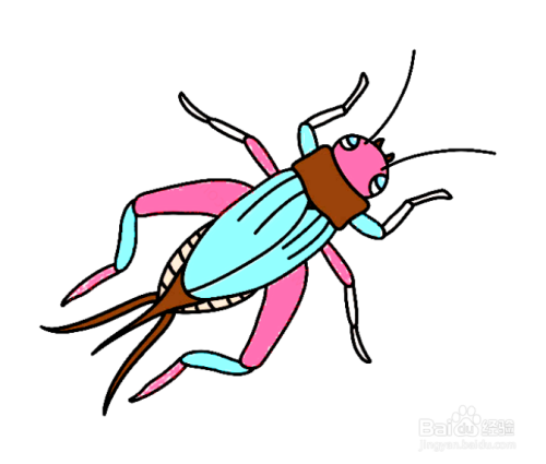 四年级上册蟋蟀的简笔画怎么画