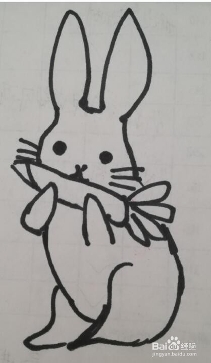 小兔子的画法 小兔子的简笔画