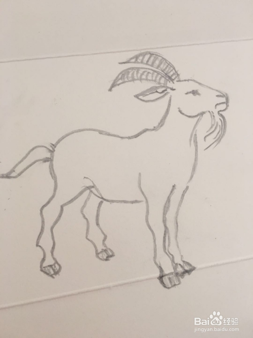 怎样画羊的简笔画 十二生肖之 八