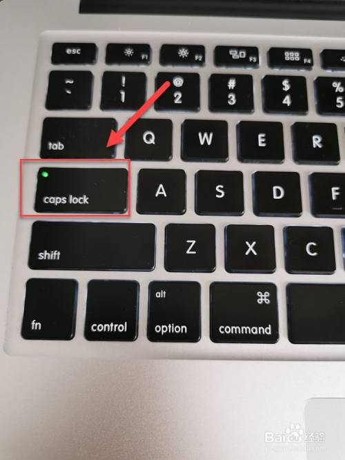 苹果电脑大小写怎么切换不了