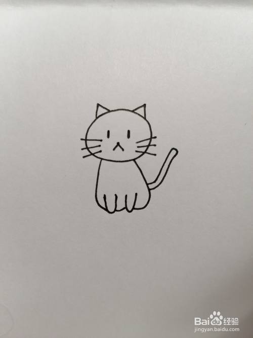 画出小猫的身体和尾巴