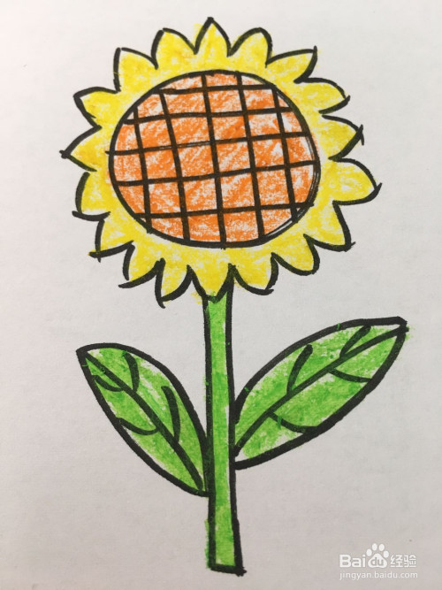 简笔画向日葵的画法