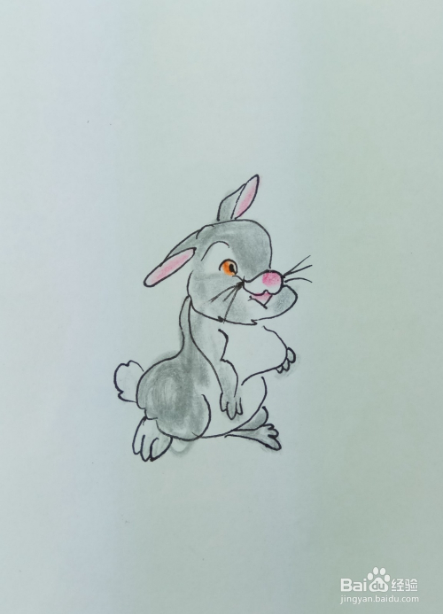 怎样画简笔画"一只可爱的小灰兔"?