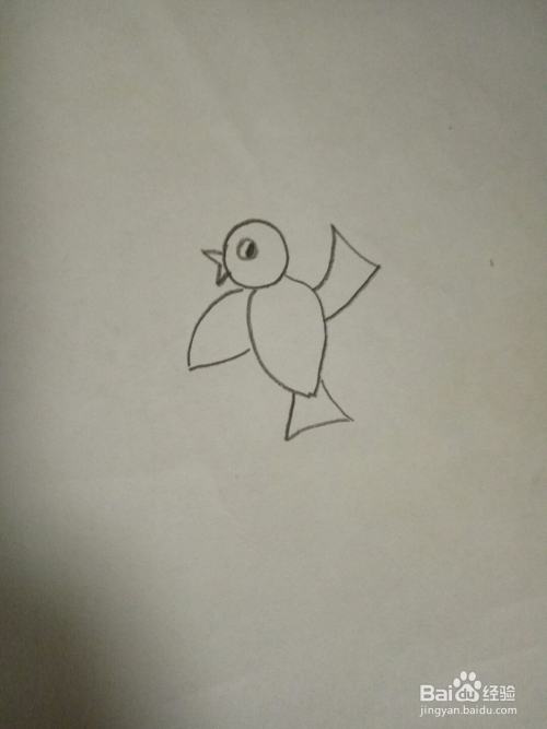 儿童简笔画之小鸟