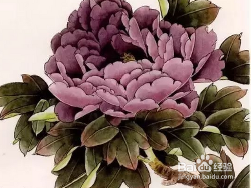 工笔牡丹画上色的步骤?