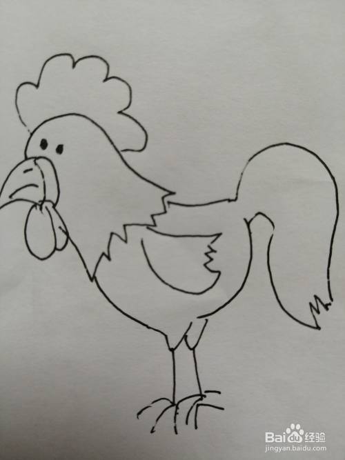 今天,小编和小朋友们一起来分享简笔画大公鸡的画法.