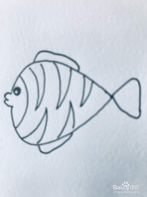 儿童简笔画小鱼