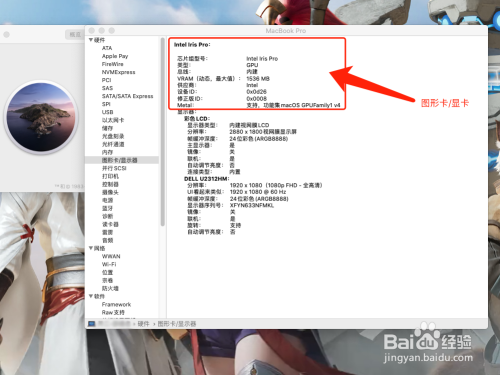 macbook pro笔记本如何查看图形卡/显卡详细信息