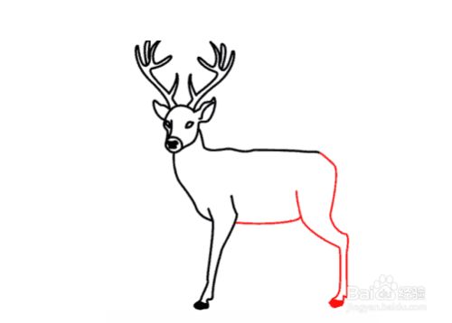 如何画鹿-分步教程