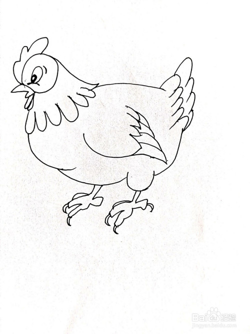 母鸡简笔画怎么画?