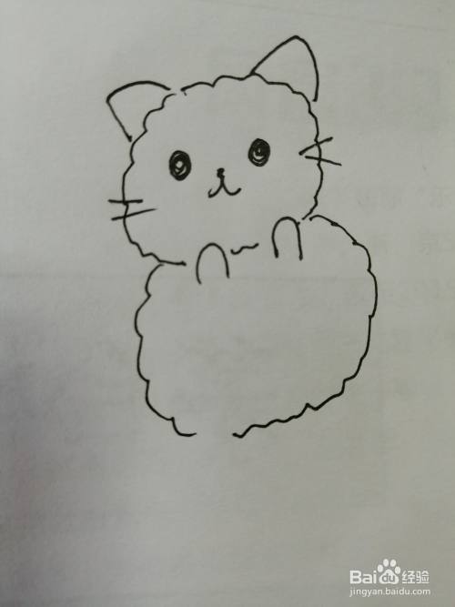 第五步,然后继续画出可爱的小猫的椭圆形的身体,画法也比较简单.