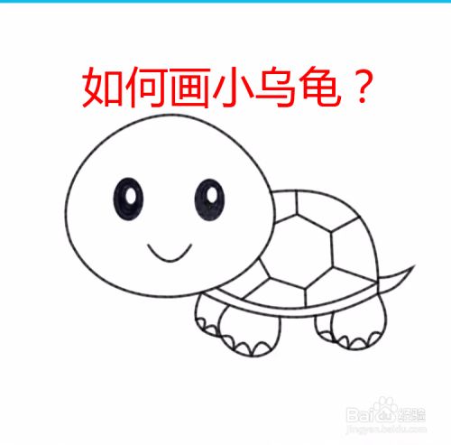如何画小乌龟?