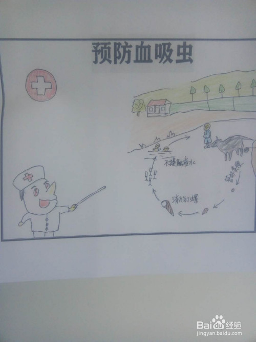 预防血吸虫手抄报