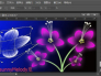 ps画花朵,ps制作绚丽花朵,制作海报(二)